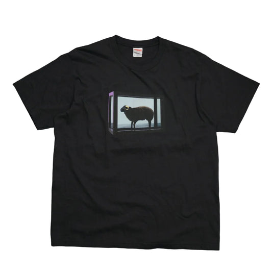 Supreme Damien Hirst Black T-Shirt