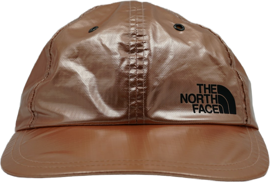 Supreme x The North Face Bronze Cap (Pre-owned)