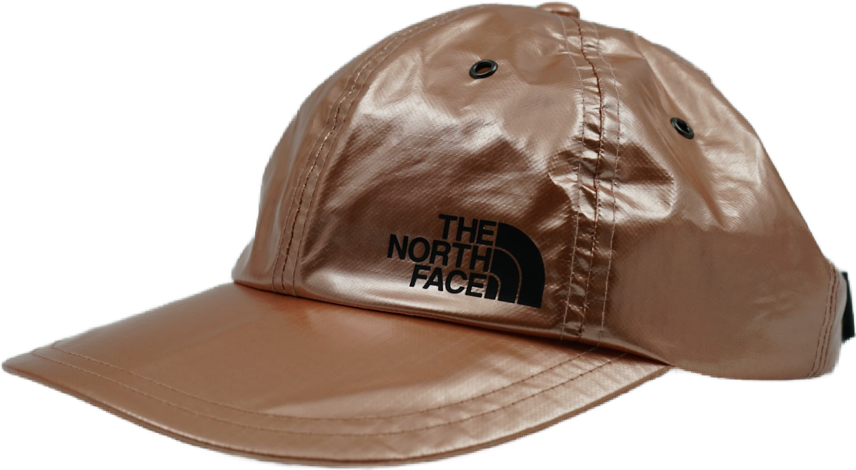 Supreme x The North Face Bronze Cap (Pre-owned)