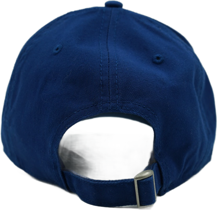 Dreambite Blue Distressed Cap