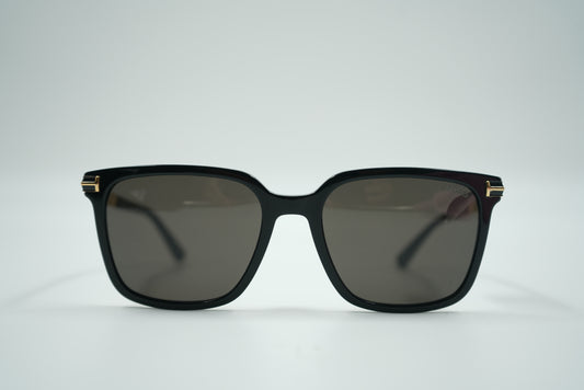Tom Ford Jochem Black Sunglasses