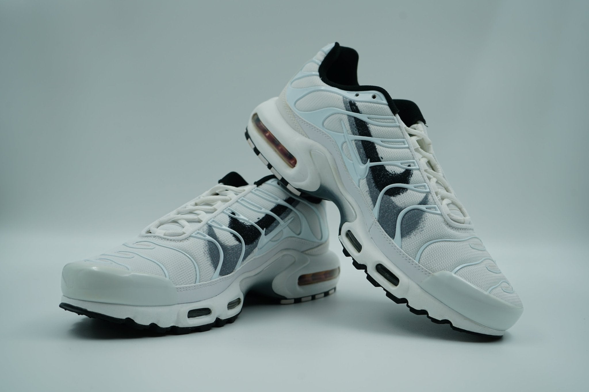 nike air max plus paint