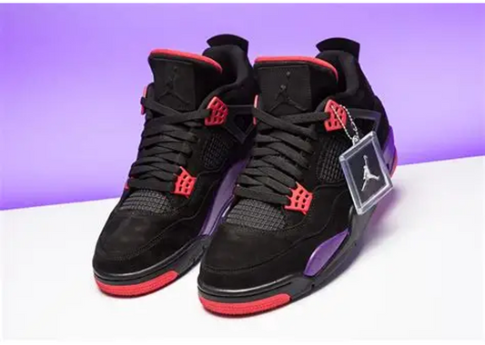 Air Jordan 4 Raptors