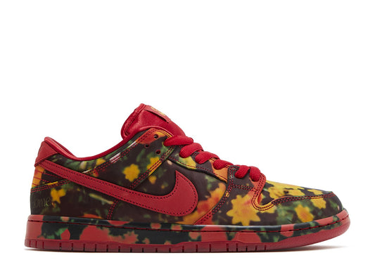 SB Dunk Low The Wizard Of Oz Poppy Field