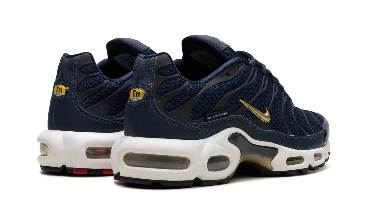 Air Max Plus French Football Federation