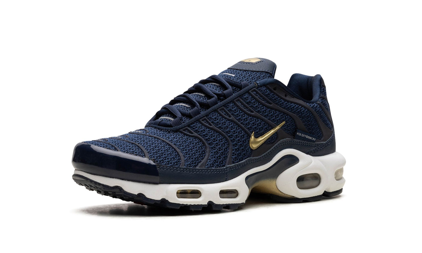 Air Max Plus French Football Federation