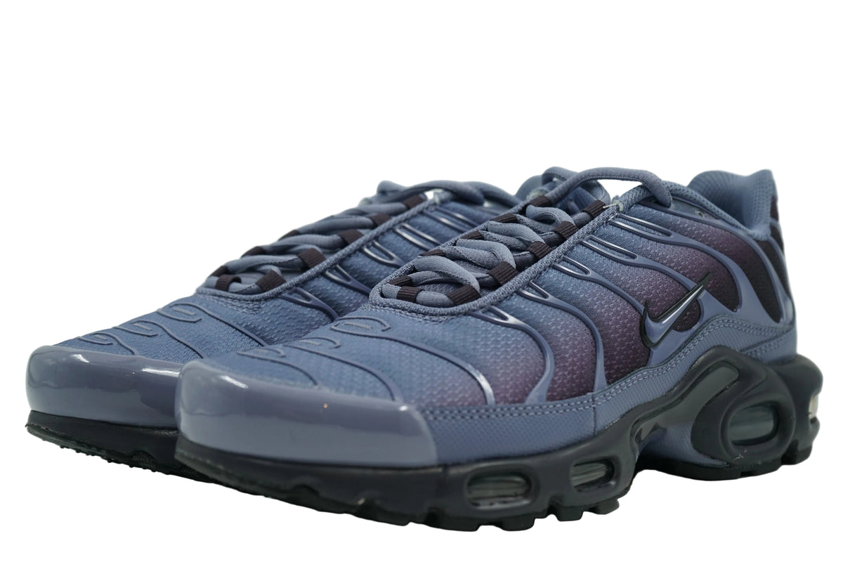 Pair of brand new Nike Air Max Plus TN World Indigo with gradient mesh and indigo laces, front view