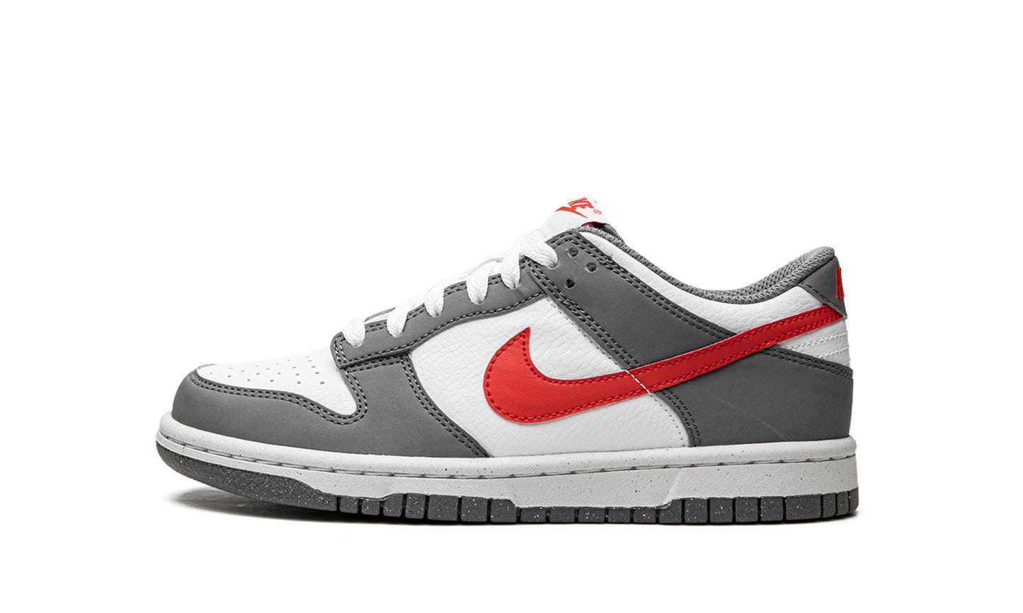 Dunk Low Next Nature GS Smoke Grey