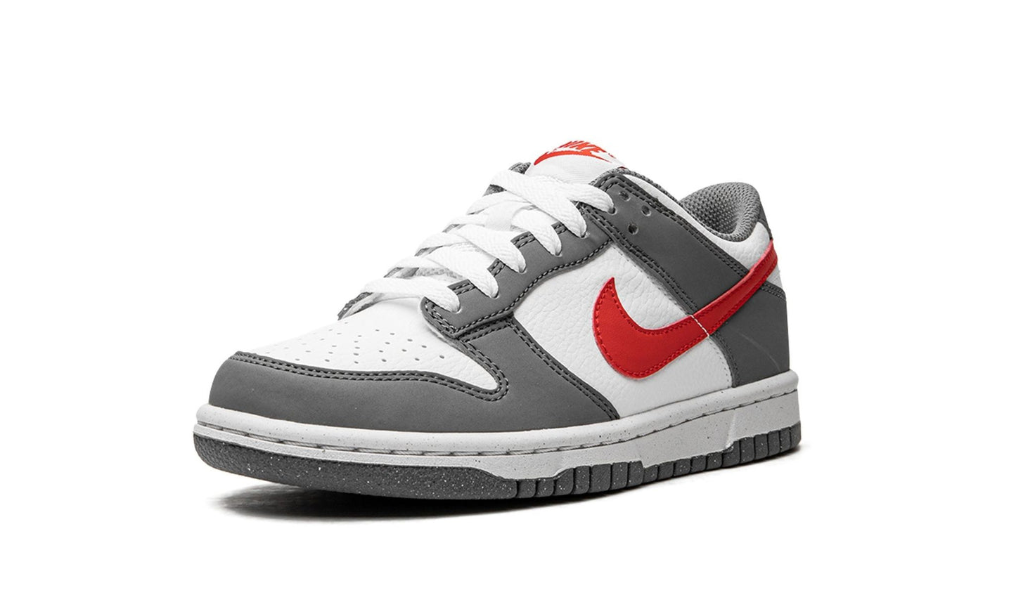 Dunk Low Next Nature GS Smoke Grey