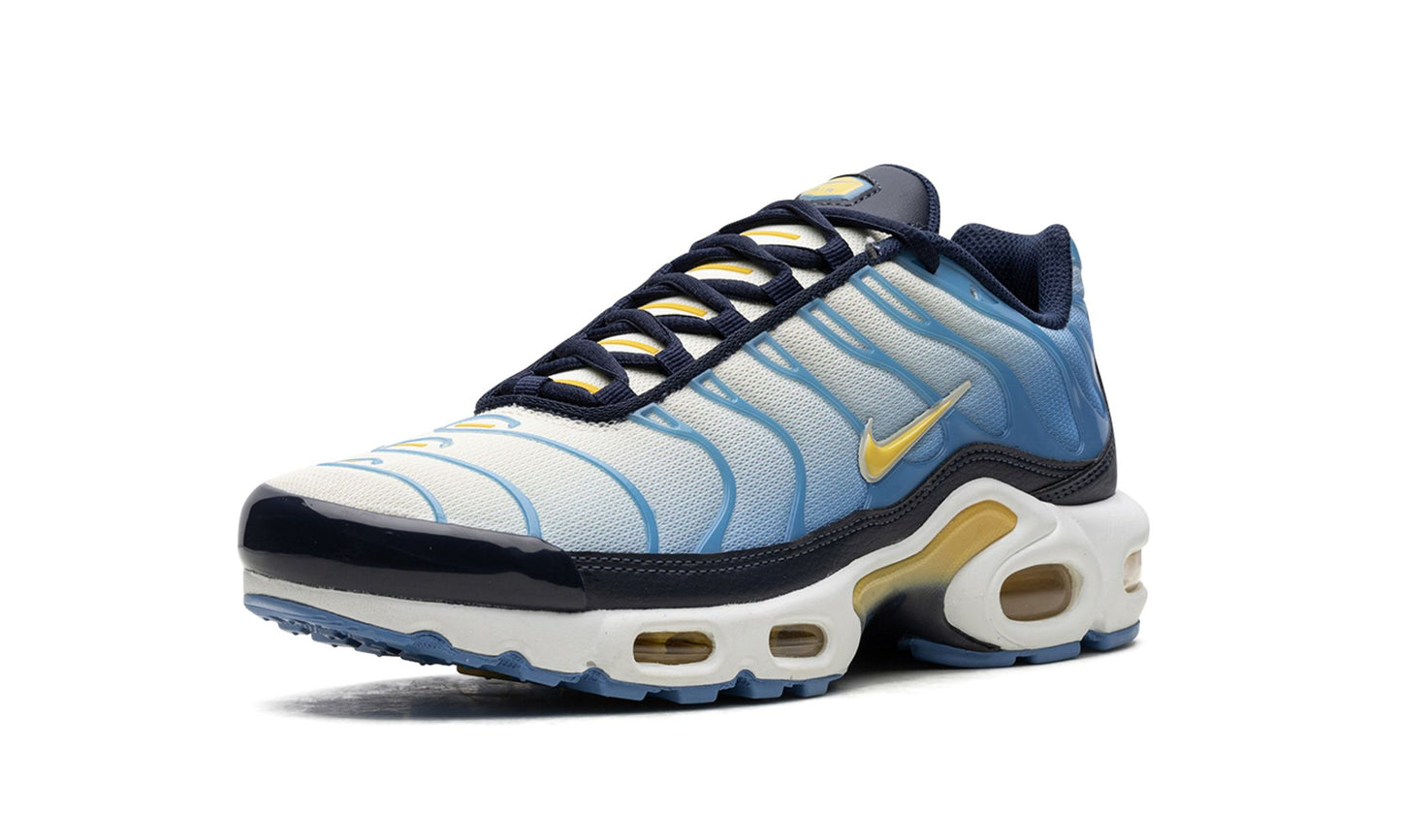 Air Max Plus University Blue Topaz Gold