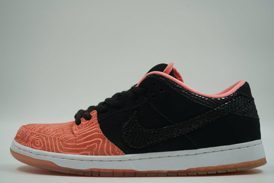 SB Dunk Low Premier Fish Ladder - Nike - SecondPlace