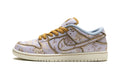 SB Dunk Low Premium City Of Style