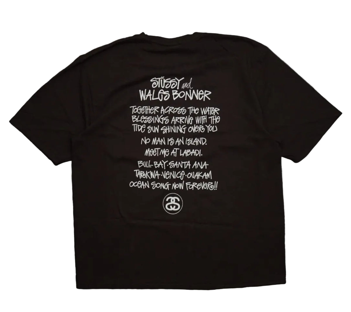 Brand new Stussy Ocean Song Brown T-Shirt, back view