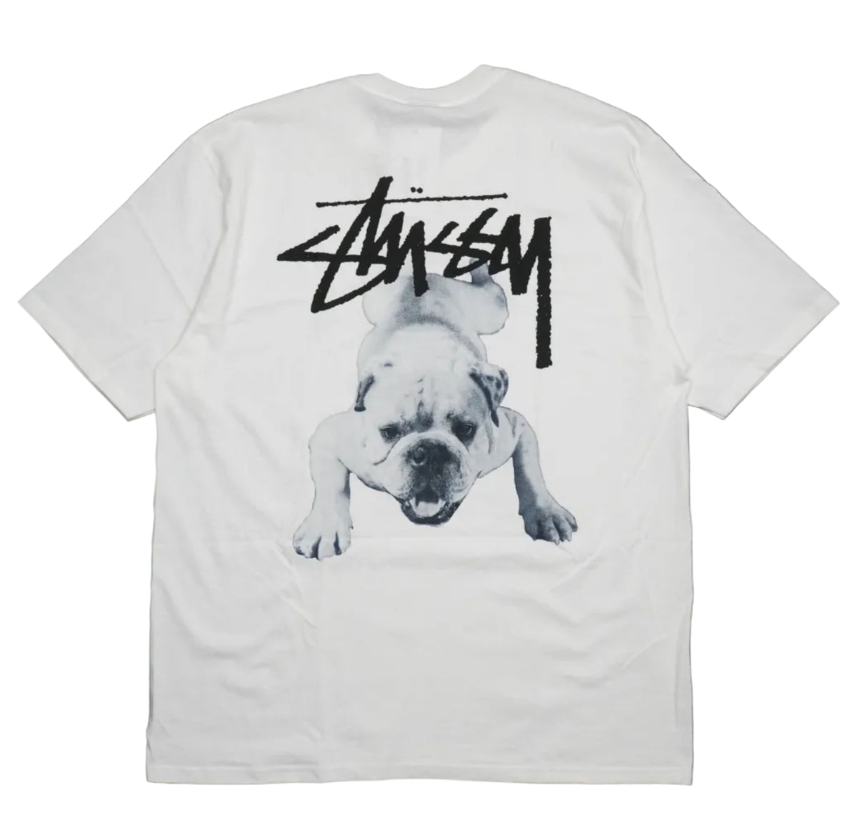 Brand new Stussy Stock Dog White T-Shirt with Stock logo and dog graphic, back view