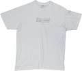 Supreme Kaws Box Logo T-Shirt